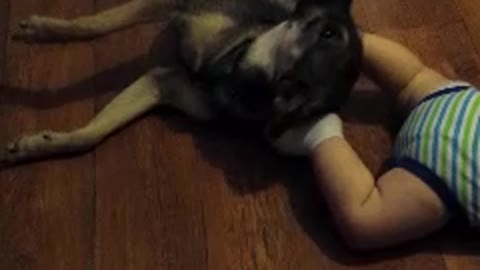 Dog Uses Baby's Kicking Feet For A Personal Back Rub