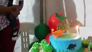 Toddlers reaction to his birthday song