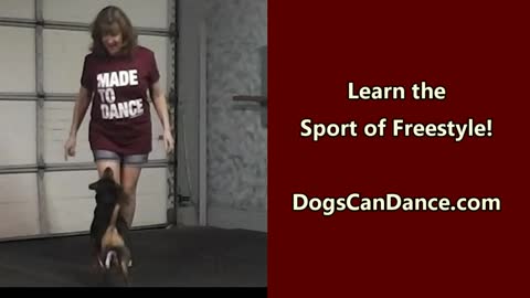 Learn the Art and Sport of Freestyle