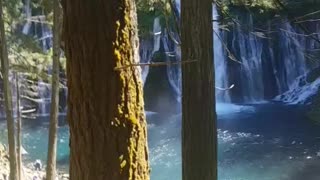 Shasta: Burney Falls