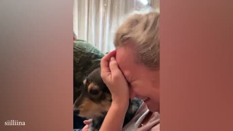 Get a dog, these moments you will have ! Funniest Dog and Human 2023