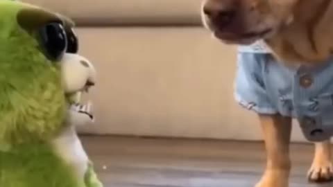 Funny dogs reacts to childrens toys- must see this!