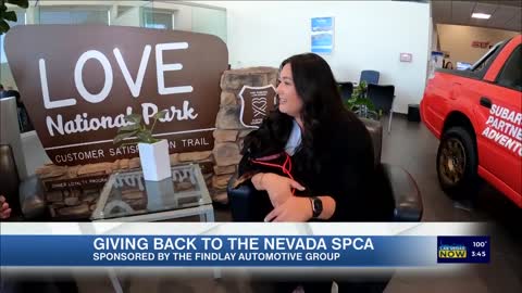 Giving back to our furry friends in the community with Findlay Automotive Group