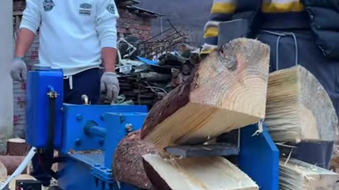 A beautiful woman is chopping firewood, and everyone is watching 05