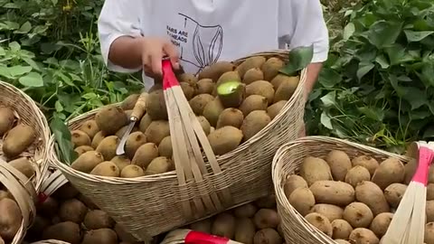 Village agriculture - beautiful rural life