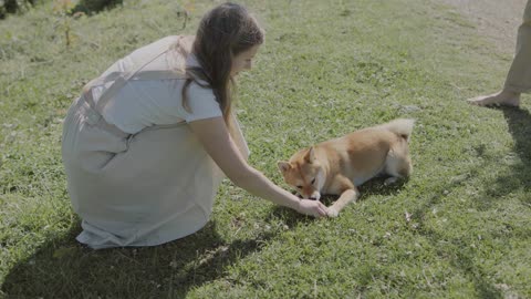 Dog and girl