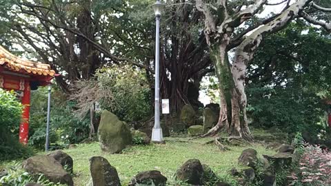 Bam, found it! "sacred stones and Asherah poles" ritual ground Taipei 找到了！ “圣石与阿舍拉”祭祀场台北