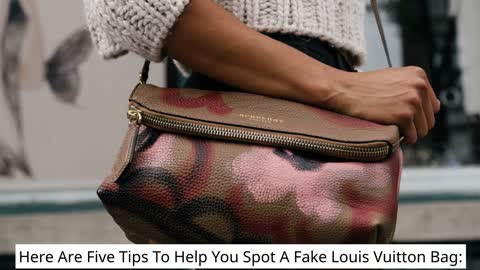 Fake Louis Vuitton Bag