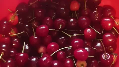 😍😍😍Fresh juicy cherrys from garden tree😍😍😍
