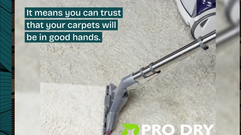 Carpet Cleaning Brisbane