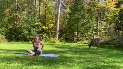 Quiet INTUITIVE Outdoor Yoga And Deer - Allow Space For Since 🌍❤️21:33 min