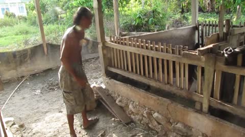 A man inject vaccine to a piglet in a piggery