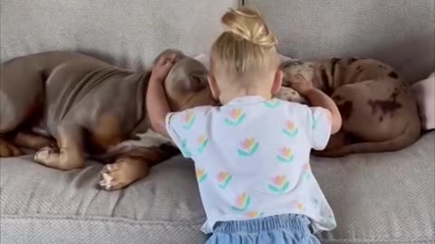 Toddler Hugs Dogs Sleeping on Couch