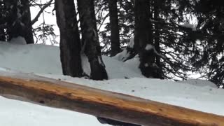 Wooden log rail slide fail