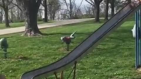 New dad misses daughter on slide