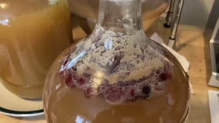 Cranberry Mead Fermenting