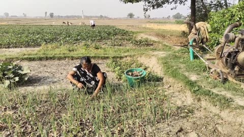 The Village Women and There Daily routine | My Village Life | Traditional Village Lifestyle