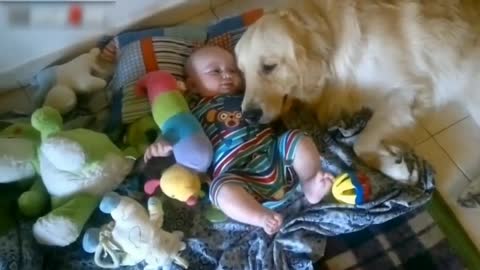 Funny Babies with cat videos ,Funny baby with Dogs ,funny baby So cute Compilation