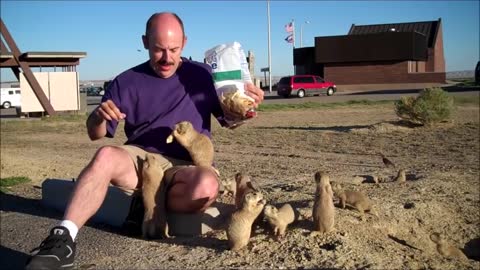 playing prairie dogs