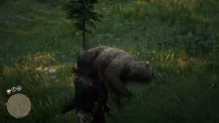 Red Dead Redemption 2 11/18 Bear Attacks Grin and Bear it Achievement