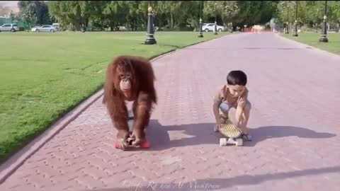 Monkey fun #viral Video