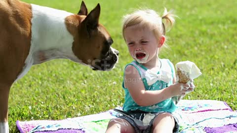 Boxer dog eats little girls ice cream cone and then the little girl continues to have her cone. .