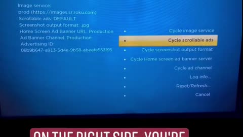 How to remove Roku TV Ad Banner