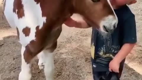 Kid has emotional reunion with his Horse