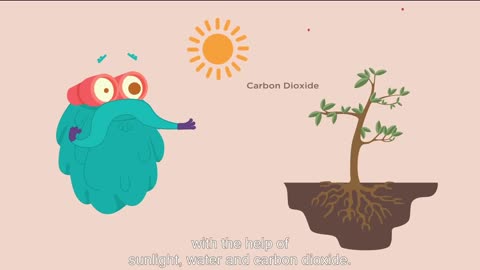 Plants use light, carbon dioxide, water, for photosynthesis, to give us oxygen