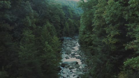 Drone captured pleasant footage of river in the forest