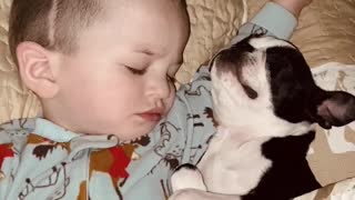 Cuddles and Snores While Snoozing With Special Friend