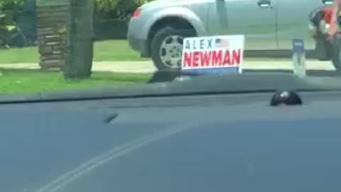 Count the Alex Newman Signs!