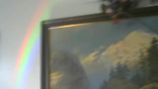 Rainbow In My Living Room