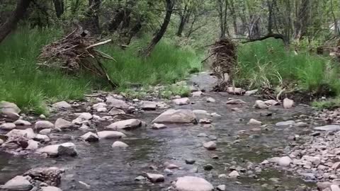 Running creek under an overpass in Arizona