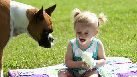 Boxer dog, little girl