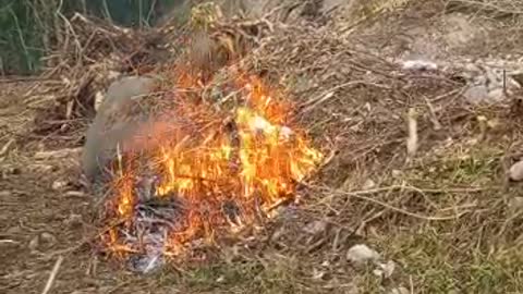 land clearing by burning to produce a clean place