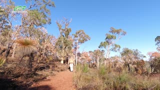 Bibbulmun Track Part 1 Kalamunda To Hewett's Shelter