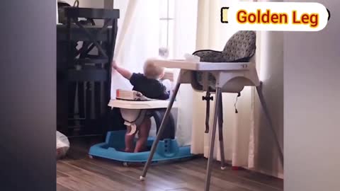Baby And Cat Fun And Cute #6 - Funny Baby Videos! try not to laugh
