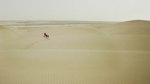 The boat of the desert and the camel