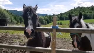 A Norwegian summer