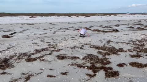 Homeschool beach day