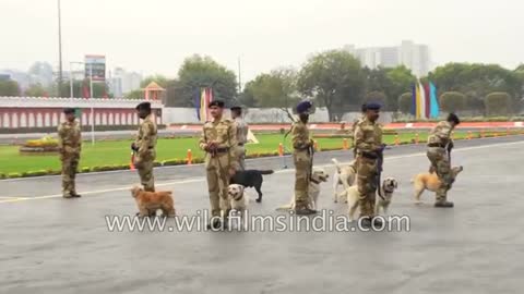 Indian security forces' dog squad at CISF Raising day - Delhi