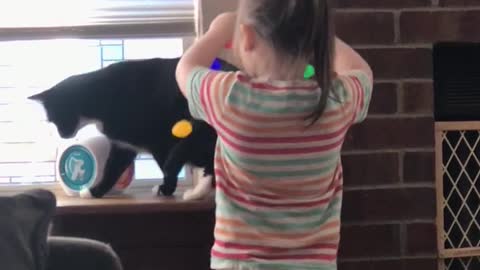 Little girl decorates cat with Christmas lights