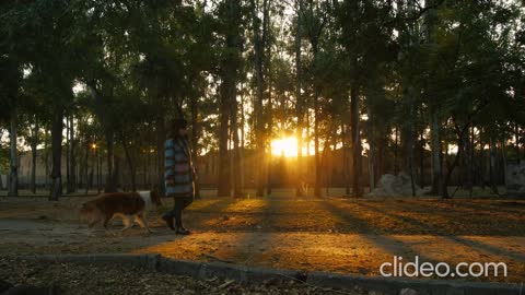 A WOMAN WALKS THROUGH A PARK WITH A DOG