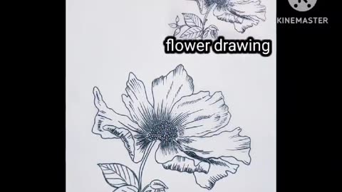 Flower drawing