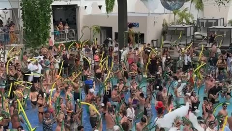 Riu palace mexico jungle party