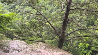 Kaaterskill Falls, NY