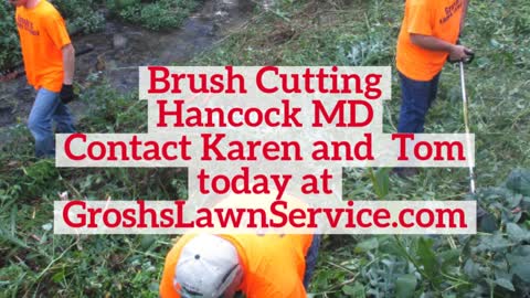 Brush Cutting Hancock MD Brush Removal Landscaping Contractor