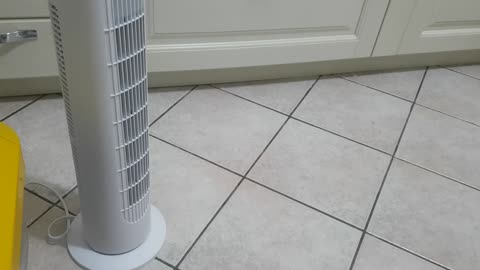 new technology fan