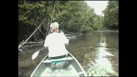 Couple Capsizes Canoe After Dodging A Tree